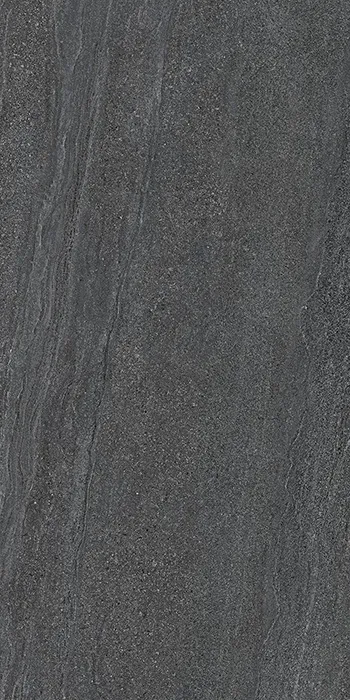 Elegance Pro Anthracite Naturale 60x120